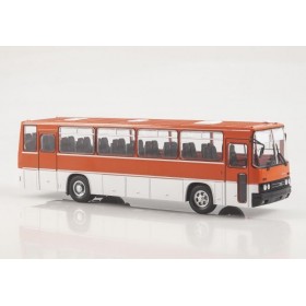 Наши Автобусы №31, Икарус-256 Звезда магистралей