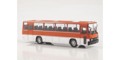 Наши Автобусы №31, Икарус-256 Звезда магистралей